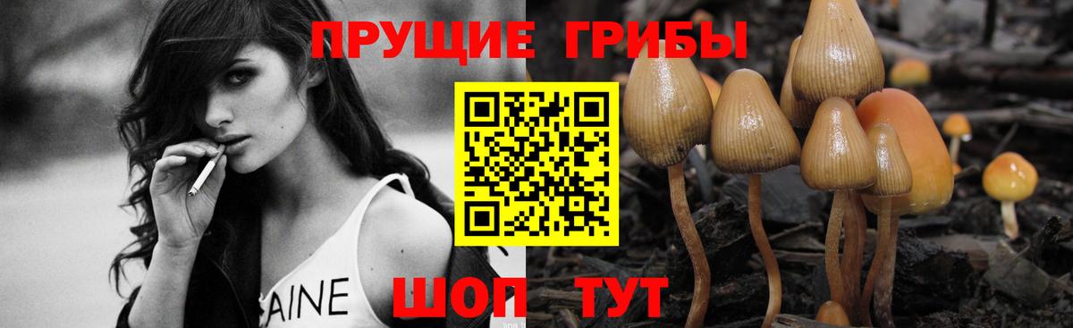 Псилоцибиновые грибы мухоморы  Вход с VPN  где найти наркотики  Норильск 
